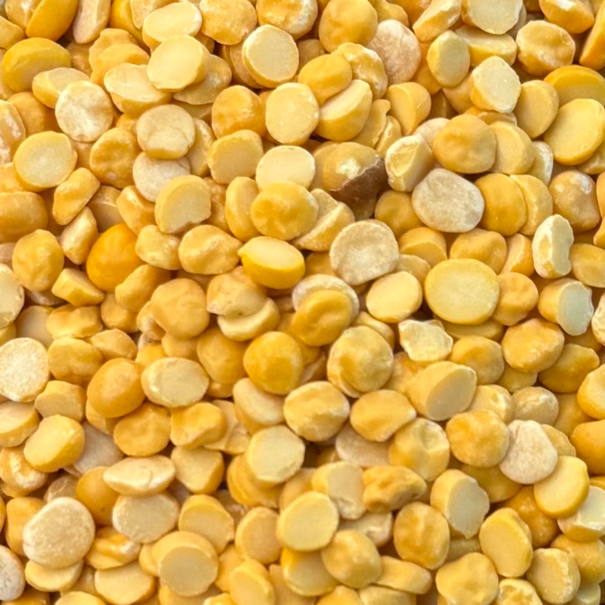 Organic Chana Dal
