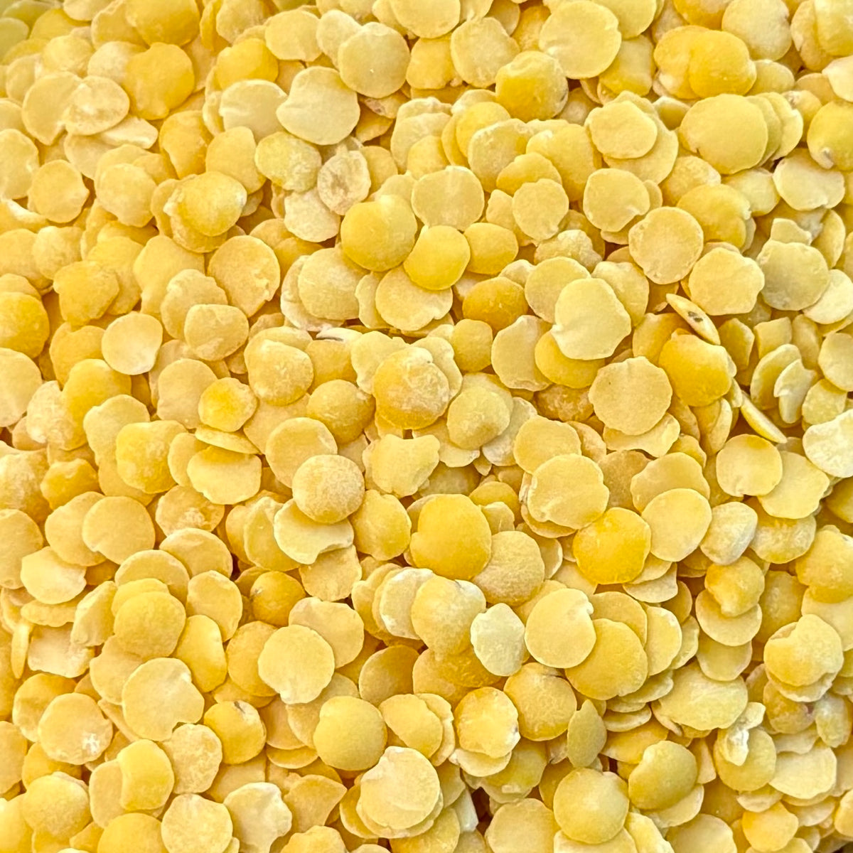Bio Linsen | split gelb