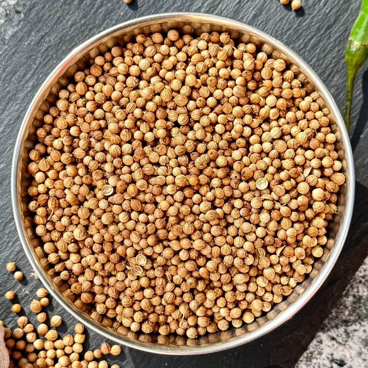 Bio Koriandersamen | ganz 3 mm