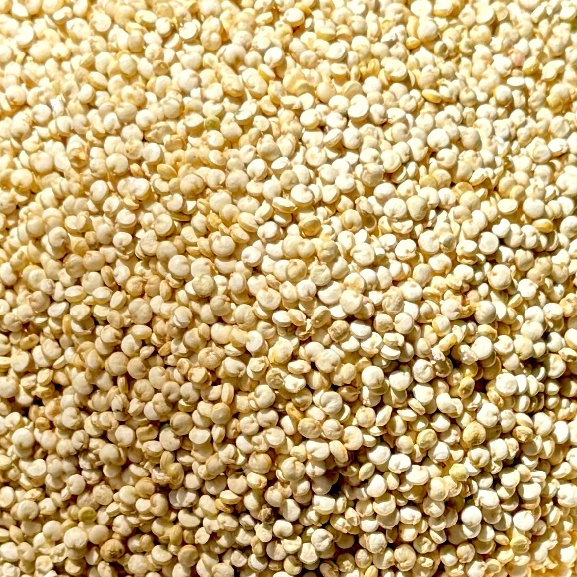Organic quinoa
